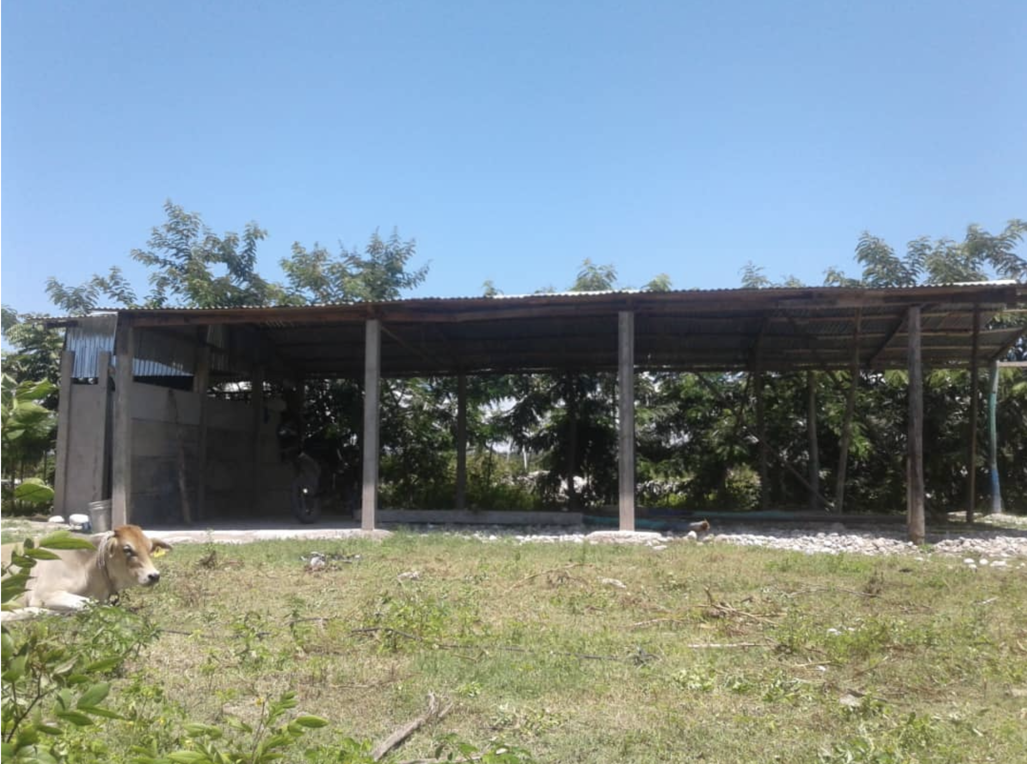 Capyo field deployment